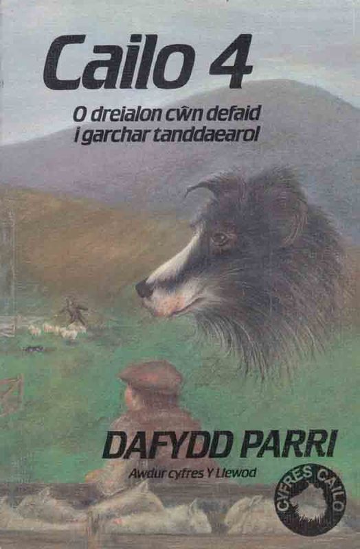Llun o 'Cailo 4' 
                              gan Dafydd Parri